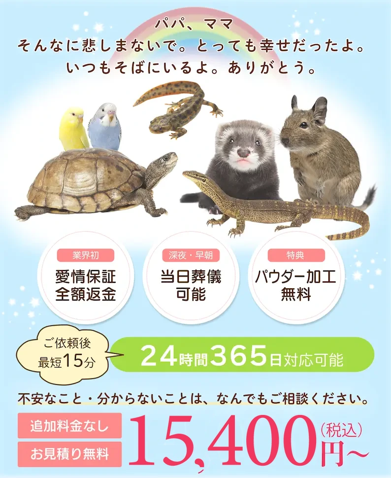 インコ・文鳥・カメ・トカゲなど小鳥・爬虫類・小動物の火葬・訪問葬儀。個別火葬・追加料金なし。15,400円（税込）〜、24時間365日対応。