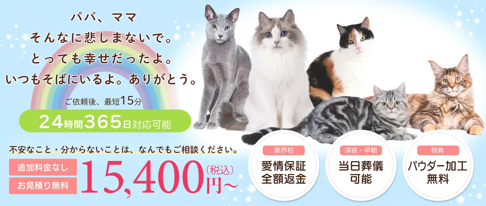 猫の火葬・訪問葬儀。個別火葬・追加料金なし・お見積り無料。24時間365日対応、川崎・横浜・東京23区。