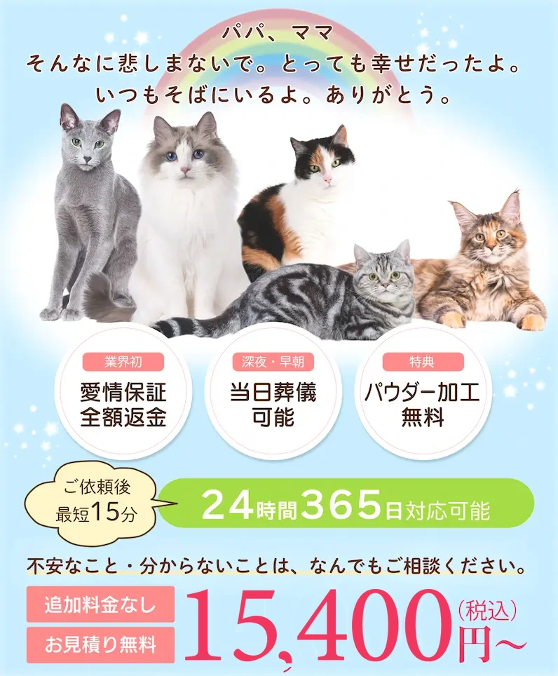 猫の火葬・訪問葬儀。個別火葬・追加料金なし・お見積り無料。24時間365日対応、川崎・横浜・東京23区。